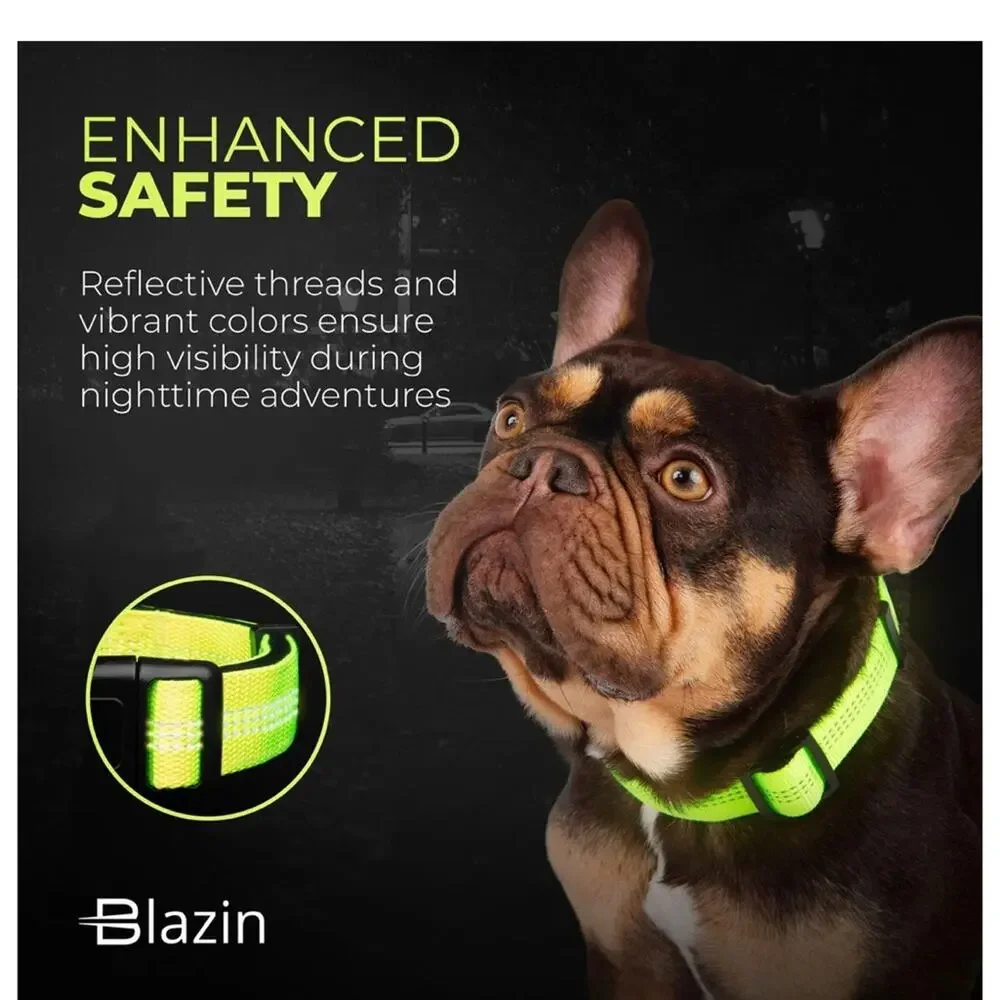 Blazin Reflective Small Dog Collar-‎ Brilliant Blue